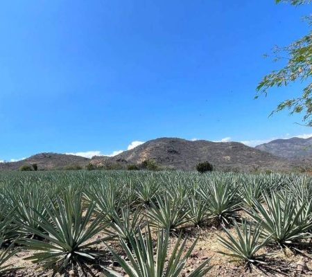 san-dionisio-ocotepec-oax